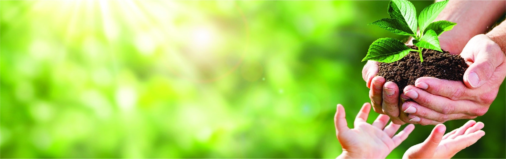 CBIS USCCB’s Socially Responsible Investing Guidelines